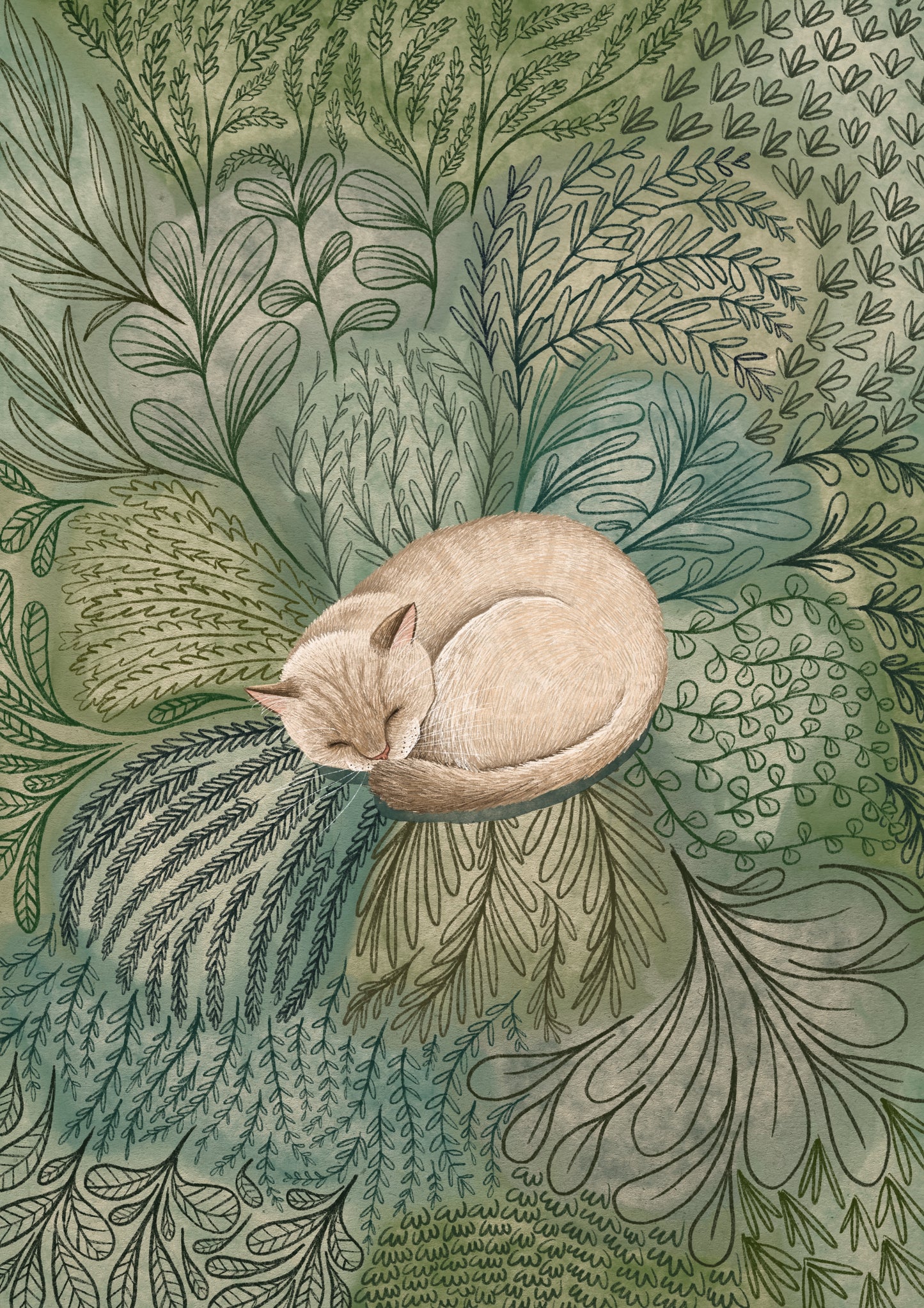 Silverpoint / Lynx point Cat