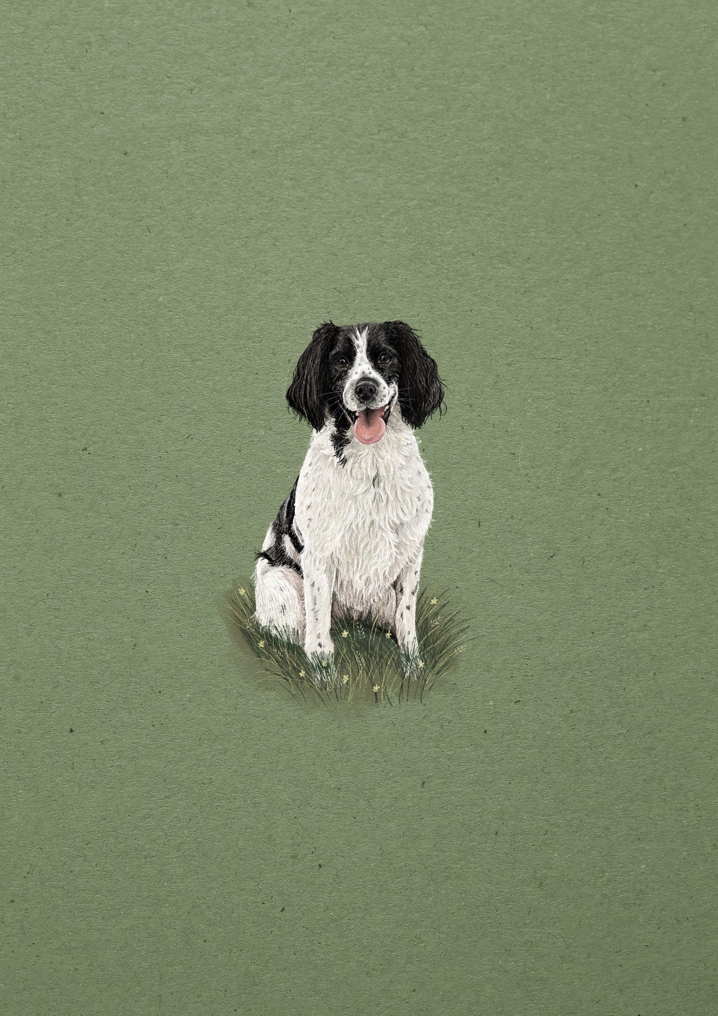 Springer Spaniel print