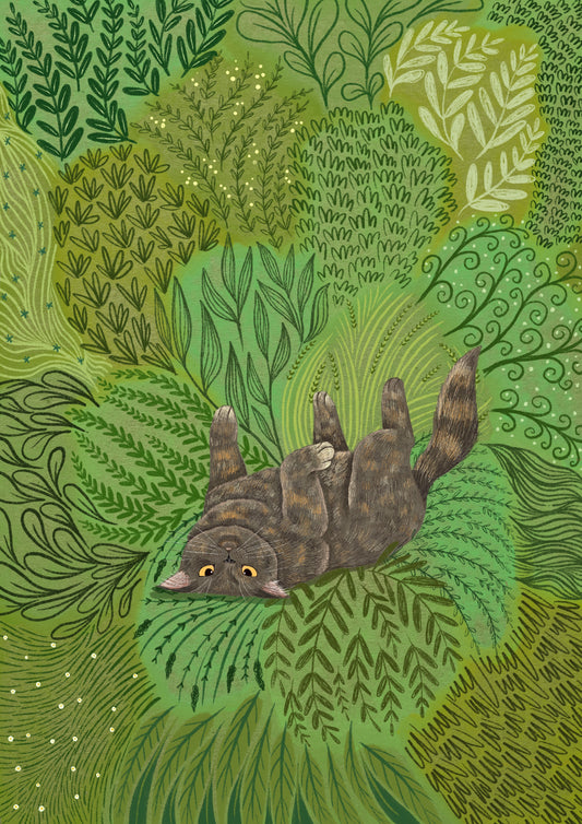 Dilute Calico Snooze