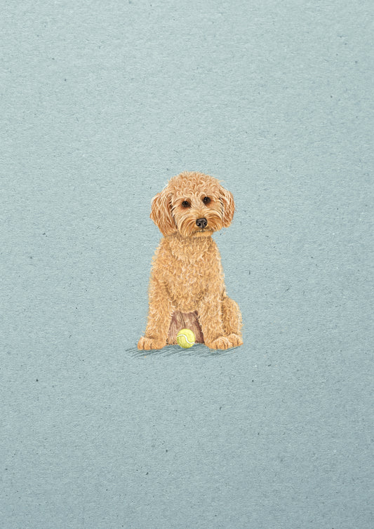 Poodle Mix print