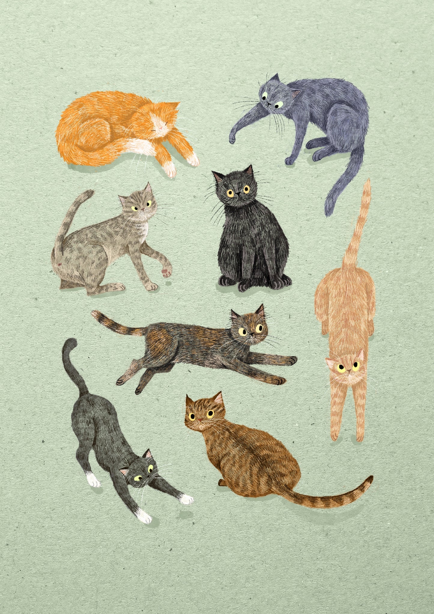 A Whole Lotta Cats