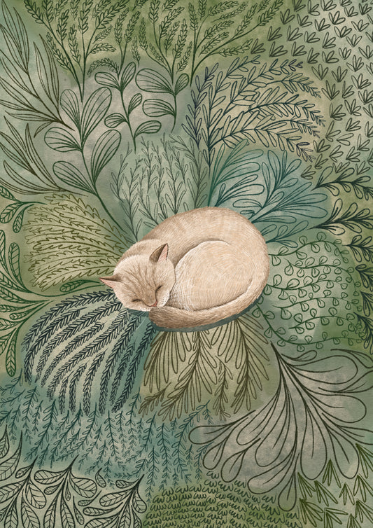 Silverpoint / Lynx point Cat