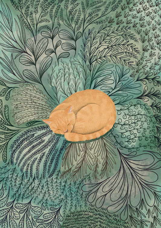 Apricot / Light Orange cat