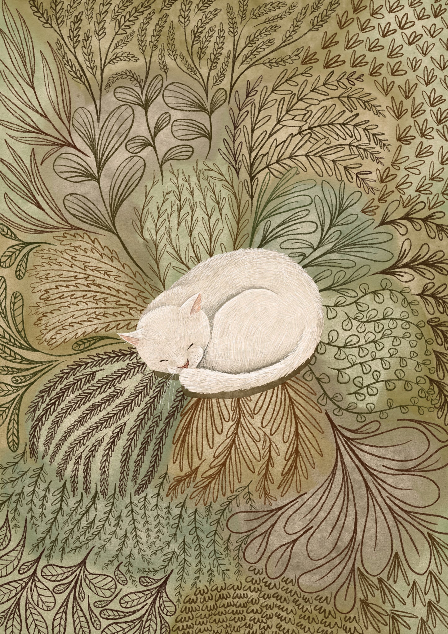 White / Cream Cat