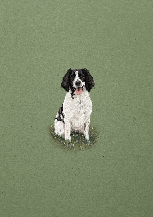 Springer Spaniel print