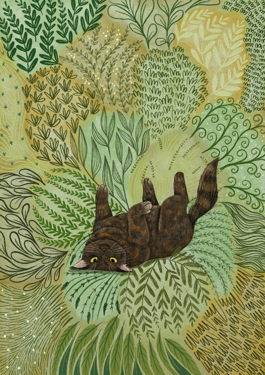Tortoiseshell Snooze