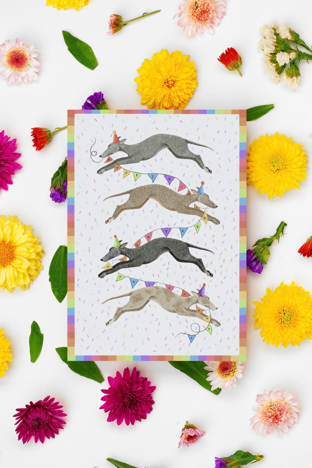 Party Hounds Birthday Card