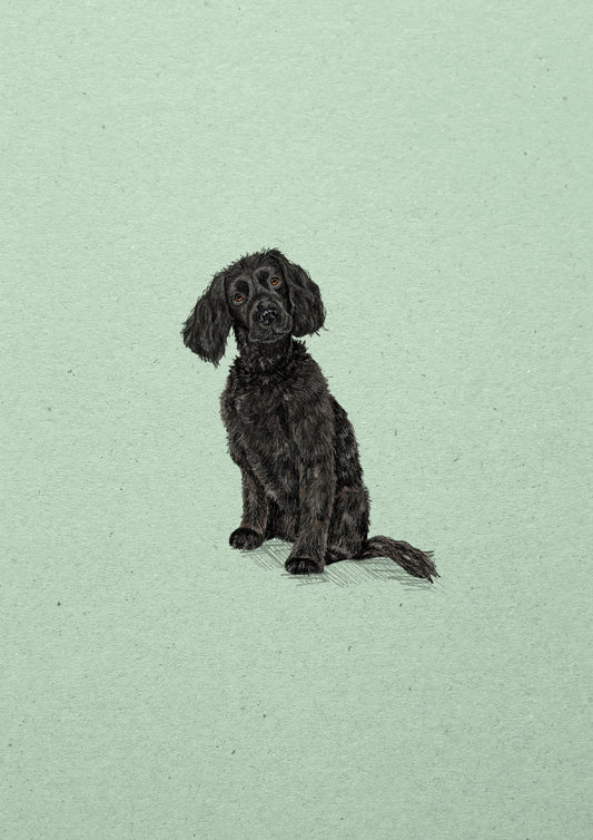 Cocker Spaniel Print