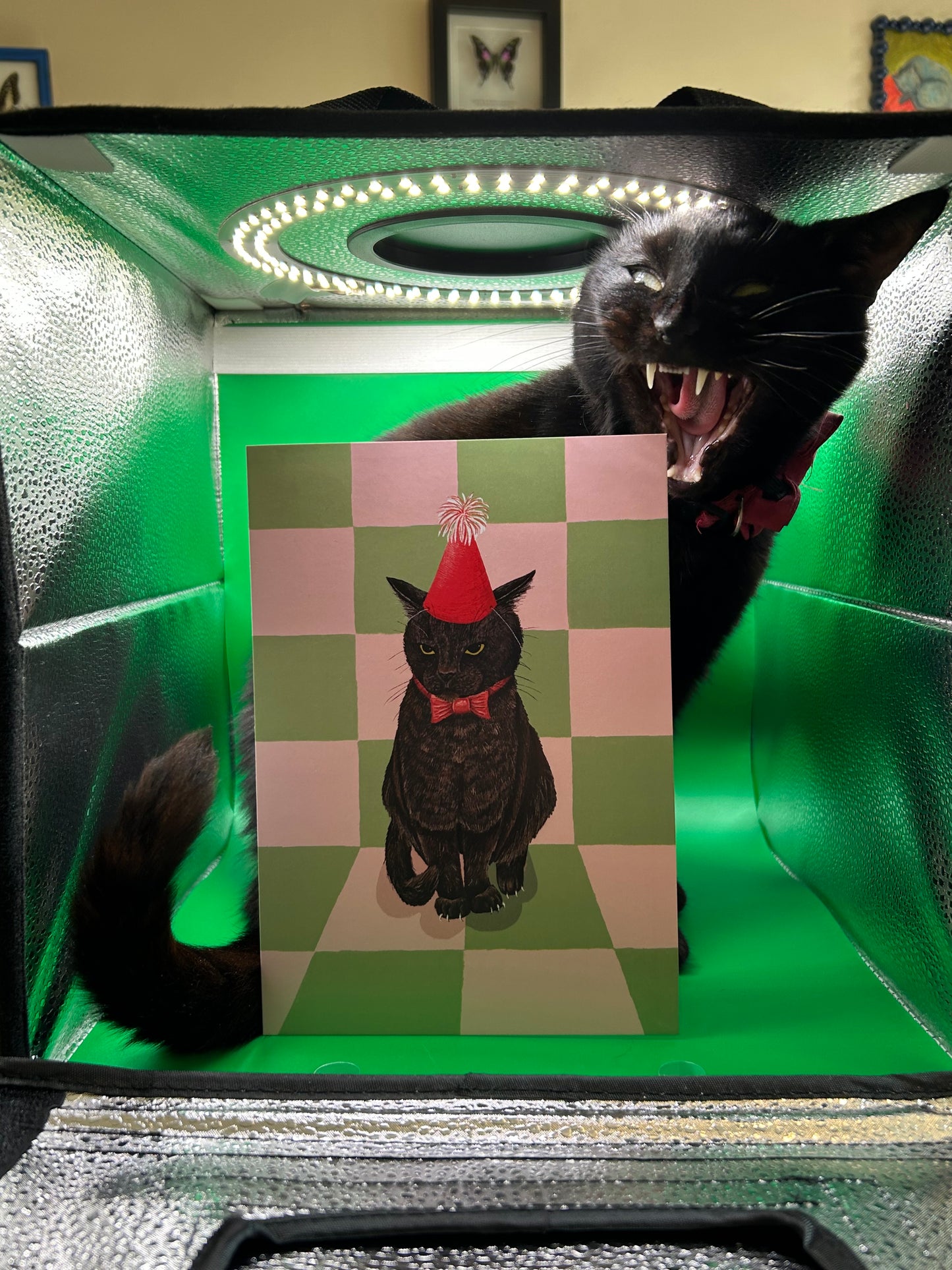 Greeting Cards - Phoebe