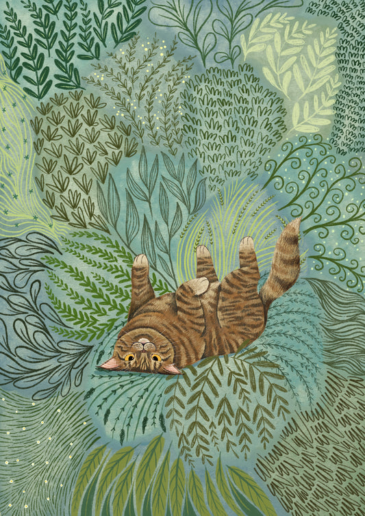 Tabby Snooze
